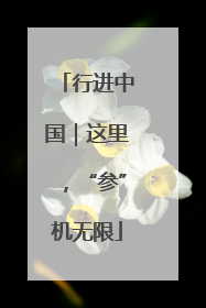 行进中国｜这里，“参”机无限