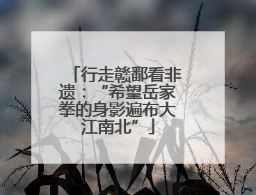 行走赣鄱看非遗：“希望岳家拳的身影遍布大江南北”