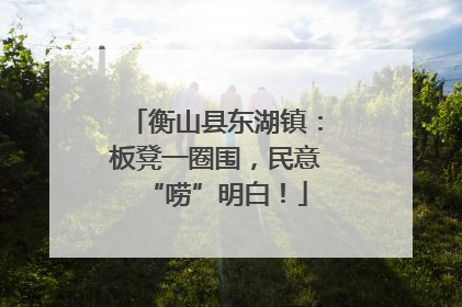 衡山县东湖镇：板凳一圈围，民意“唠”明白！