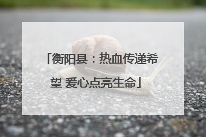 衡阳县：热血传递希望 爱心点亮生命