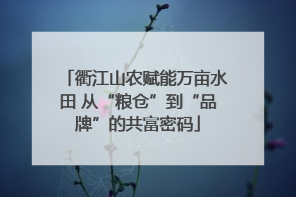 衢江山农赋能万亩水田 从“粮仓”到“品牌”的共富密码