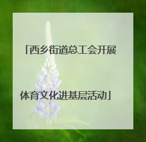 西乡街道总工会开展体育文化进基层活动