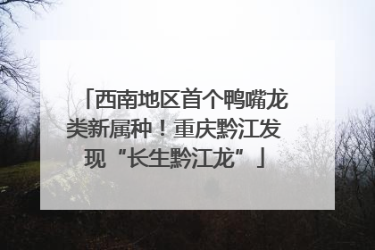 西南地区首个鸭嘴龙类新属种！重庆黔江发现“长生黔江龙”