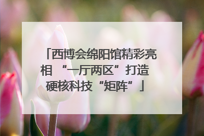 西博会绵阳馆精彩亮相 “一厅两区”打造硬核科技“矩阵”