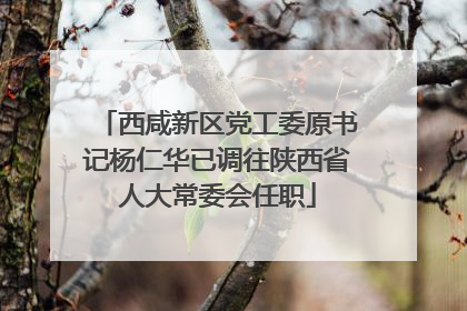 西咸新区党工委原书记杨仁华已调往陕西省人大常委会任职