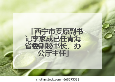 西宁市委原副书记李家成已任青海省委副秘书长、办公厅主任