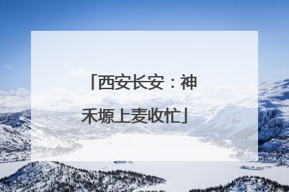 西安长安：神禾塬上麦收忙