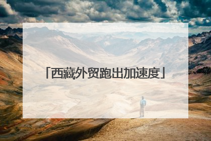 西藏外贸跑出加速度