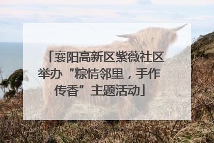 襄阳高新区紫薇社区举办“粽情邻里，手作传香”主题活动