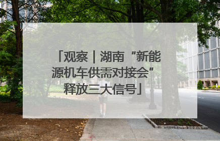 观察｜湖南“新能源机车供需对接会”释放三大信号