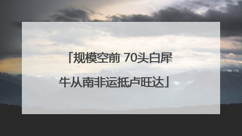 规模空前 70头白犀牛从南非运抵卢旺达