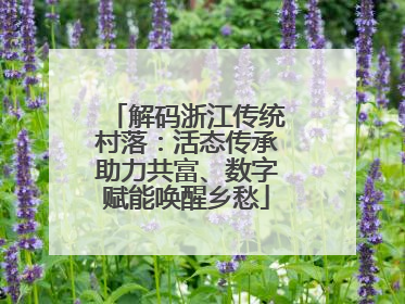 解码浙江传统村落：活态传承助力共富、数字赋能唤醒乡愁