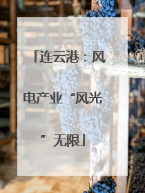 连云港：风电产业“风光”无限