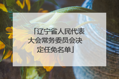 辽宁省人民代表大会常务委员会决定任免名单