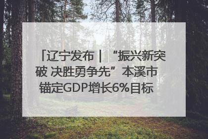 辽宁发布｜“振兴新突破 决胜勇争先”本溪市锚定GDP增长6%目标推进十项重点工作