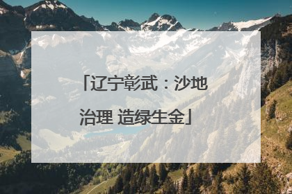 辽宁彰武：沙地治理 造绿生金