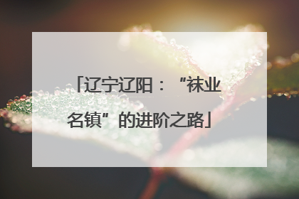 辽宁辽阳：“袜业名镇”的进阶之路