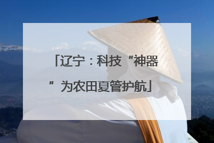 辽宁：科技“神器”为农田夏管护航