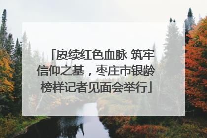 赓续红色血脉 筑牢信仰之基，枣庄市银龄榜样记者见面会举行