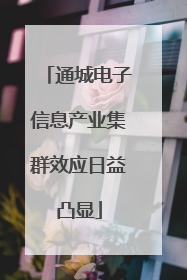 通城电子信息产业集群效应日益凸显