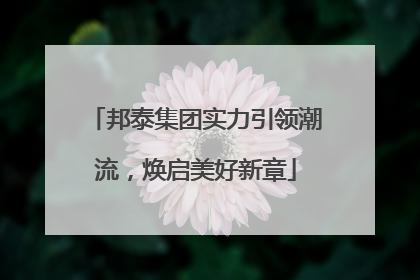 邦泰集团实力引领潮流，焕启美好新章