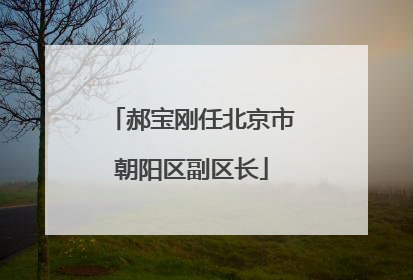 郝宝刚任北京市朝阳区副区长