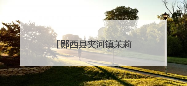 郧西县夹河镇茉莉花开好“钱景”