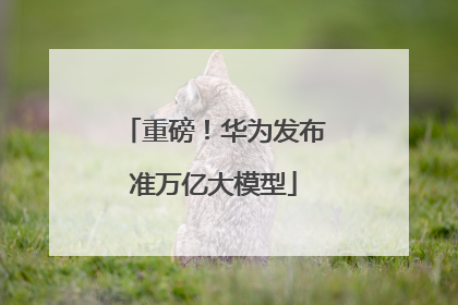 重磅！华为发布准万亿大模型