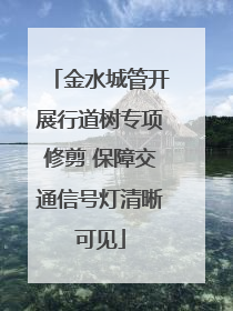 金水城管开展行道树专项修剪 保障交通信号灯清晰可见