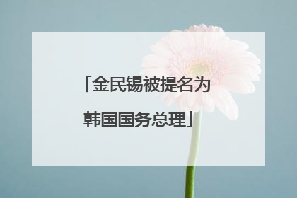 金民锡被提名为韩国国务总理