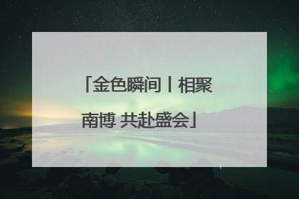 金色瞬间丨相聚南博 共赴盛会