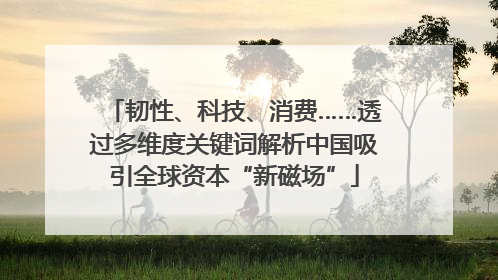 韧性、科技、消费……透过多维度关键词解析中国吸引全球资本“新磁场”