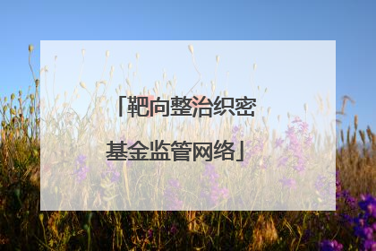 靶向整治织密基金监管网络
