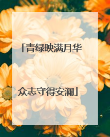 青绿映满月华 众志守得安澜
