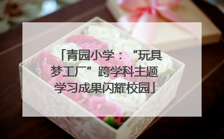 青园小学：“玩具梦工厂”跨学科主题学习成果闪耀校园