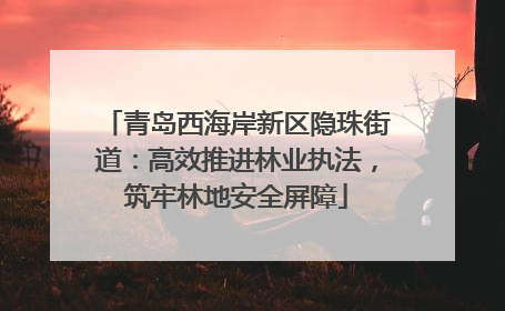青岛西海岸新区隐珠街道：高效推进林业执法，筑牢林地安全屏障