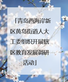 青岛西海岸新区黄岛街道人大工委组织开展辖区教育发展调研活动