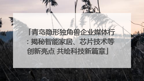 青岛隐形独角兽企业媒体行：揭秘智能家居、芯片技术等创新亮点 共绘科技新篇章