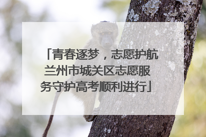 青春逐梦，志愿护航 兰州市城关区志愿服务守护高考顺利进行