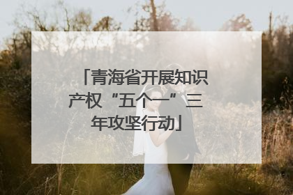 青海省开展知识产权“五个一”三年攻坚行动