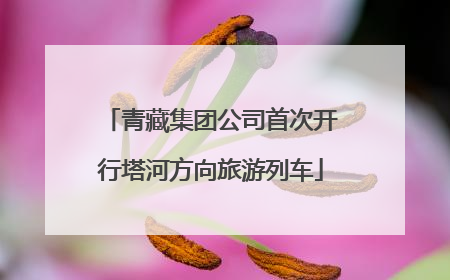 青藏集团公司首次开行塔河方向旅游列车
