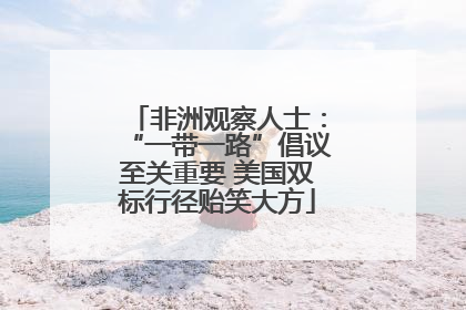 非洲观察人士：“一带一路”倡议至关重要 美国双标行径贻笑大方