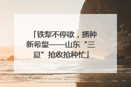 铁犁不停歇，播种新希望——山东“三夏”抢收抢种忙