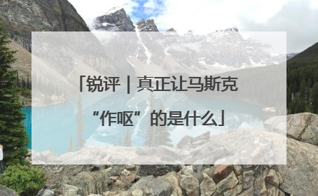锐评｜真正让马斯克“作呕”的是什么