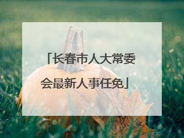 长春市人大常委会最新人事任免