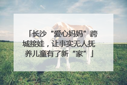 长沙“爱心妈妈”跨城接娃，让事实无人抚养儿童有了新“家”