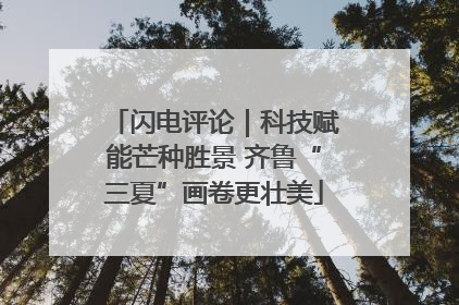 闪电评论｜科技赋能芒种胜景 齐鲁“三夏”画卷更壮美
