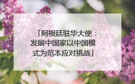 阿根廷驻华大使：发展中国家以中国模式为范本应对挑战