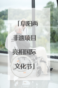 阜阳两非遗项目亮相国际文化节
