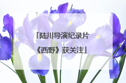 陆川导演纪录片《西野》获关注